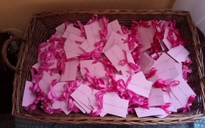 CAMMINATA IN ROSA