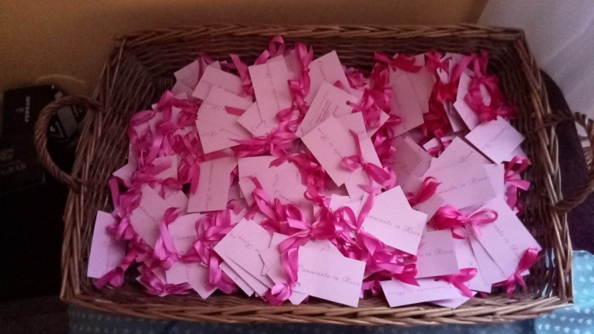 CAMMINATA IN ROSA 2025